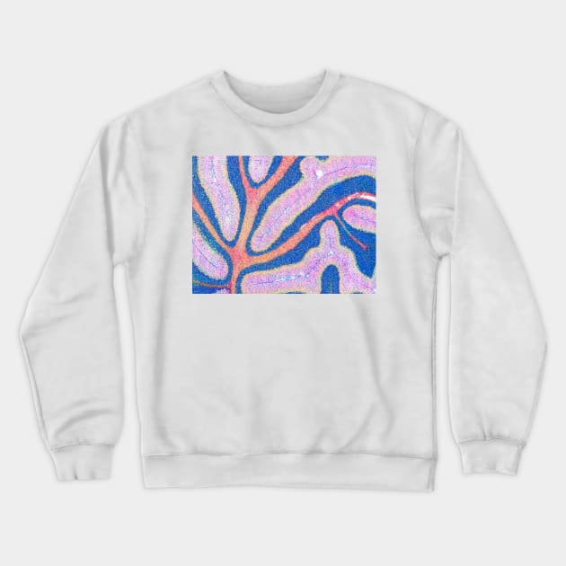 Cerebellum structure, light micrograph (P330/0479) Crewneck Sweatshirt by SciencePhoto